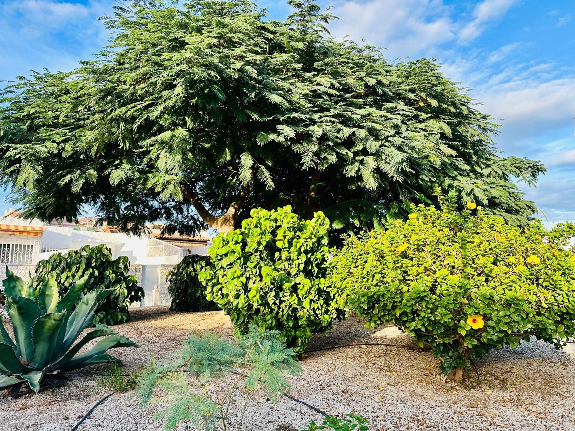 Casa Una Bungalow Delux Arona  Exterior foto